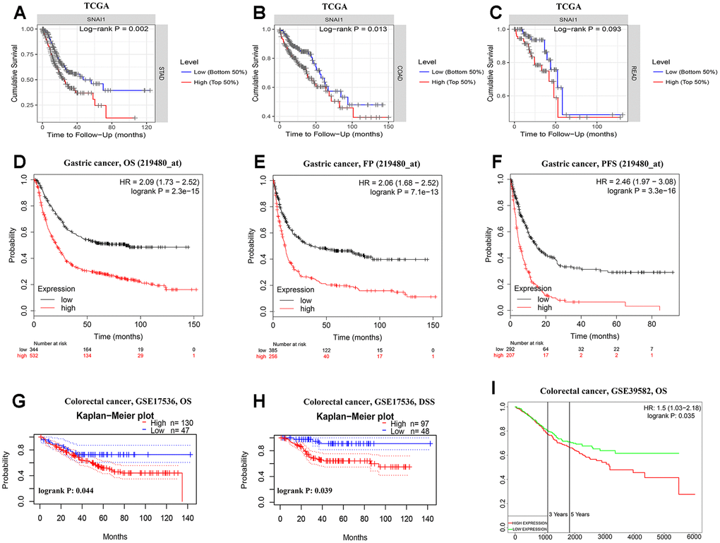 Kaplan-Meier survival curves comparing the high and low expression of SNAI1 in gastrointestinal cancers in the TCGA dataset and GEO dataset. (A–C) Survival curves of overall survival in COAD (colon adenocarcinoma), READ (rectum adenocarcinoma), and STAD (stomach adenocarcinoma) in TCGA cohorts. (D–F) Survival curves of OS, FP, and PFS in six STAD cohorts (GSE29013, GSE31210, GSE31908, GSE43580, GSE50081, GSE8894). (G–I) Survival curves of OS and DSS in two CRC cohorts (GSE17536, GSE39582).