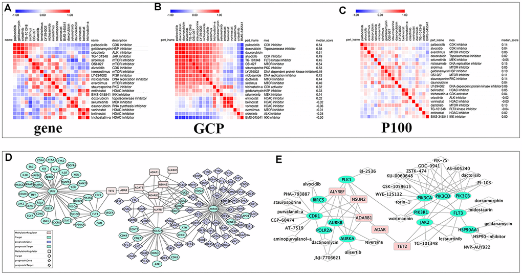 The relationships among drugs, core prognostic genes, and targets. (A–C) The similarity matrix of genomic, proteomic connectivity for compounds with tau >95 in CMap (A), GCP (B) and P100 (C) database. The map was sorted with the strongest perturbagen connections at the top in red. (D) Schematic representation of the association between RNA modification regulators (RNA-MRs), function-related prognostic DEGs and target of compounds with tau>95. Pink squares: RNA-MRs; green cycles: targets; blue diamond: prognostic DEGs; green diamond: prognostic genes as targets. (E) Schematic representation of targets with a direction relationship with RNA-MRs, together with corresponding inhibitors.