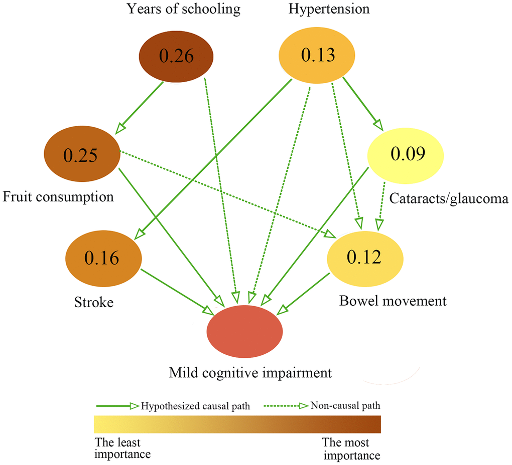 Causal inference of MCI by Bayesian network analysis. Bayesian network approach detected the hypothesized causal-association diagram between MCI and exposure variables, and the importance of exposure variables. The magnitude of values presented at each node denote the importance of exposure variables. In other words, the higher magnitude the value is, more important the variable. Meanwhile, the importance of variables was visualized via the gradual changes of color of nodes.