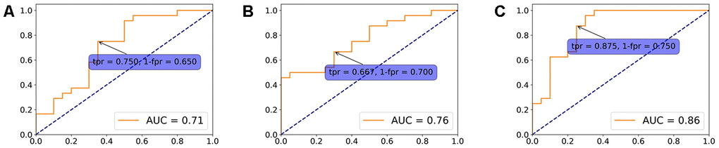 Logistic regression model. A logistic regression model using overlapping (A), static specific (B) and dynamic specific features (C) with regularization parameter C = 1. ROC curves were plotted to evaluate the classifier performance.