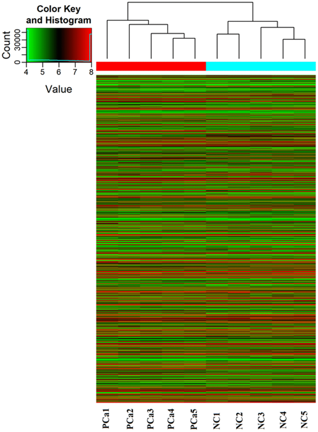 PiRNA expression profiling in Arraystar piRNA Microarray. The Hierarchical Clustering shows a distinguishable piRNA expression profiling among samples. “Red line” indicates high expression, and “Green line” indicates low expression. Five PCa tissues (experimental) and five corresponding normal tissue (NC) were used to perform the piRNA microarray in triplicate.