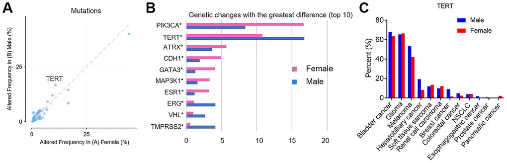 The differential mutant genes between female vs male group. (A) Scatter plots, the altered frequency of genetic mutations between female vs male group (%). The X axis represents altered frequency in female. The Y axis represents altered frequency in male. The blue dots indicate that the p and q values are statistically significant. (B) The top 10 genes with the greatest difference of mutations between female vs male group. The X axis represents genetic changes with the greatest difference. The Y axis represents differential mutant genes. The red histogram indicates female and the blue histogram indicates male. (C) The frequency of TERT mutations between female vs male group in different cancer types. X-axis represents common types of cancer. The Y axis represents percent of TERT mutation. The red histogram indicates female and the blue histogram indicates male.