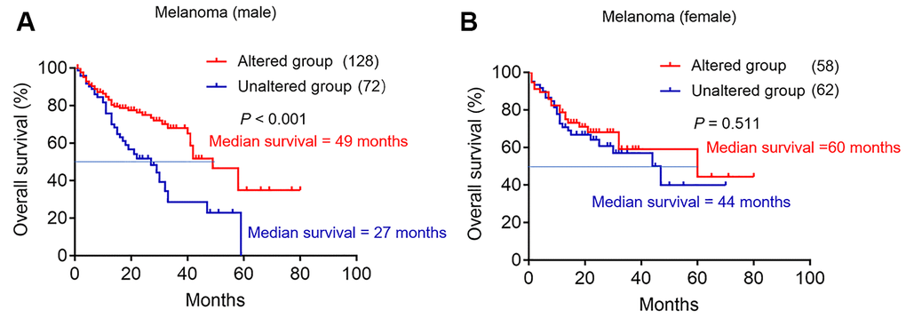 The effect of TERT mutation on the efficacy of immunotherapy in melanoma database. (A) Kaplan-Meier survival analysis between TERT altered and unaltered group in the male cohort. The red curve represents TERT altered group, and the blue curve represents unaltered group. (B) Kaplan-Meier survival analysis between TERT altered and unaltered group in the female cohort. The red curve represents TERT altered group, and the blue curve represents unaltered group.