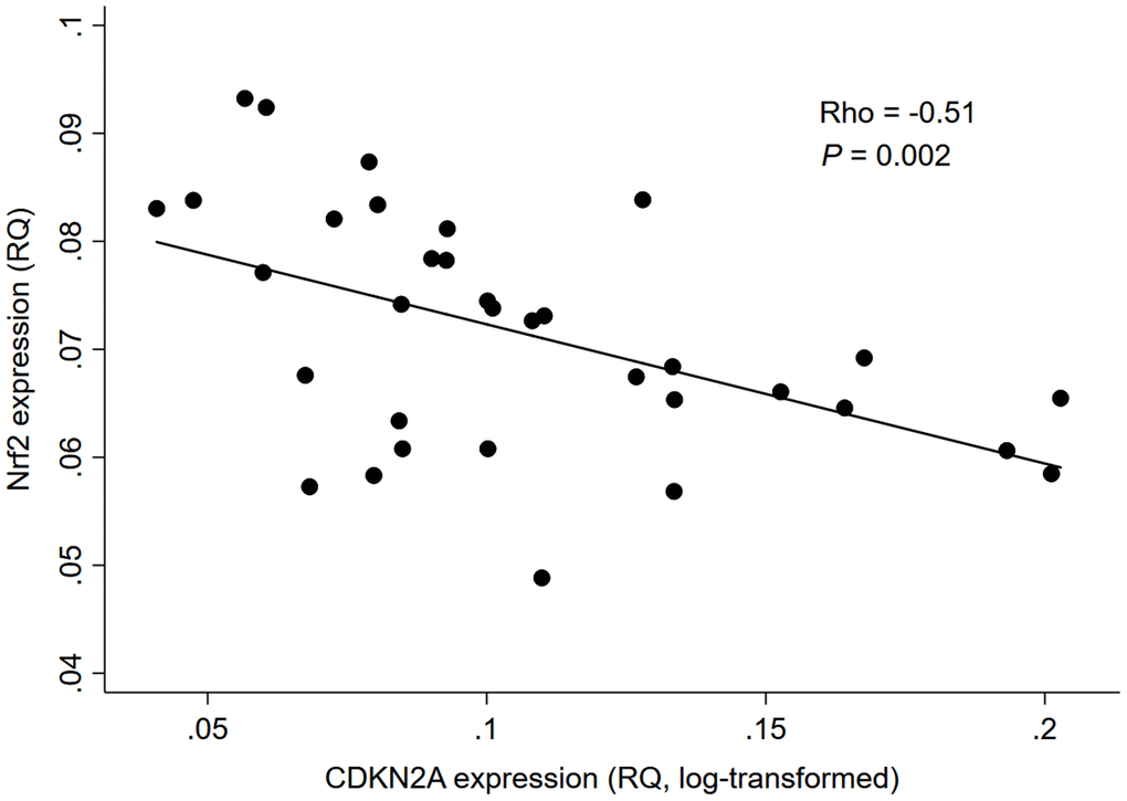 Correlation between Nrf2 and CDKN2A expression levels in 34 HD patients. Abbreviation: CDKN2A = cyclin dependent kinase inhibitor 2A, Nrf2 = nuclear factor erythroid 2 related factor 2, RQ = relative quantity.