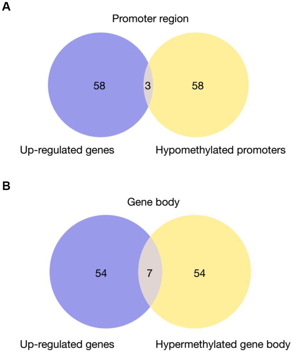 Venn Diagram of up-regulated genes in PD patients that have hypomethylated promoters (A) or gene bodies (B) Fisher’s exact test is used for the comparison of preference of methylation at gene body versus promoter. P-value = 0.0029.