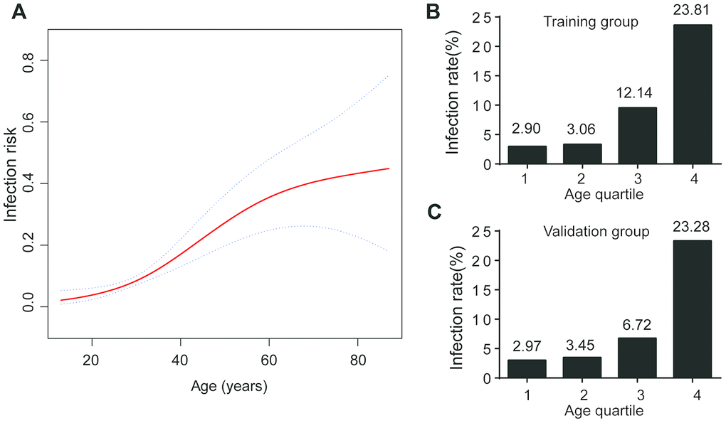 Age and COVID-19 infection. (A) The infection risk increased with increasing age; (B) Infection rate at age quartile in training group; (C) Infection rate at age quartile in validation group.