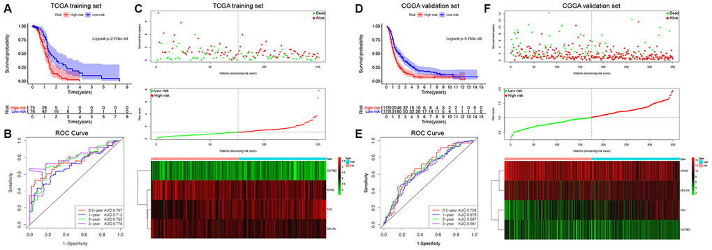 Survival analysis, prognostic performance and risk score analysis of the GDRG-based risk score model in GBM patients. Kaplan-Meier survival analysis was performed to estimate the OS of high-risk and low-risk patients in the TCGA training cohort (A) and CGGA validation cohort (D). The high-risk groups had significantly poorer OS than the low-risk groups. Time-dependent ROC curve analysis was performed to evaluate the prognostic performance of the GDRG signature for predicting the 0.5-, 1-, 2-, and 3-year OS rates in the TCGA (B) and CGGA cohorts (E). Risk score analysis of the GDRG signatures in the TCGA (C) and CGGA (F) cohorts were calculated, and the patients were divided into either a high-risk group or a low-risk group using the median value of the risk score as the cutoff value. Upper panel: Patient survival status and time distributed by the risk score. Middle panel: Risk score curves of the GDRG signatures. Bottom panel: Heatmaps of the expression levels of the 4 GDRGs in the GBM samples. The colors from green to red indicate the gene expression levels from low to high.