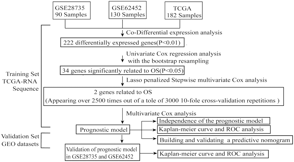 The flowchart of the whole analysis process.