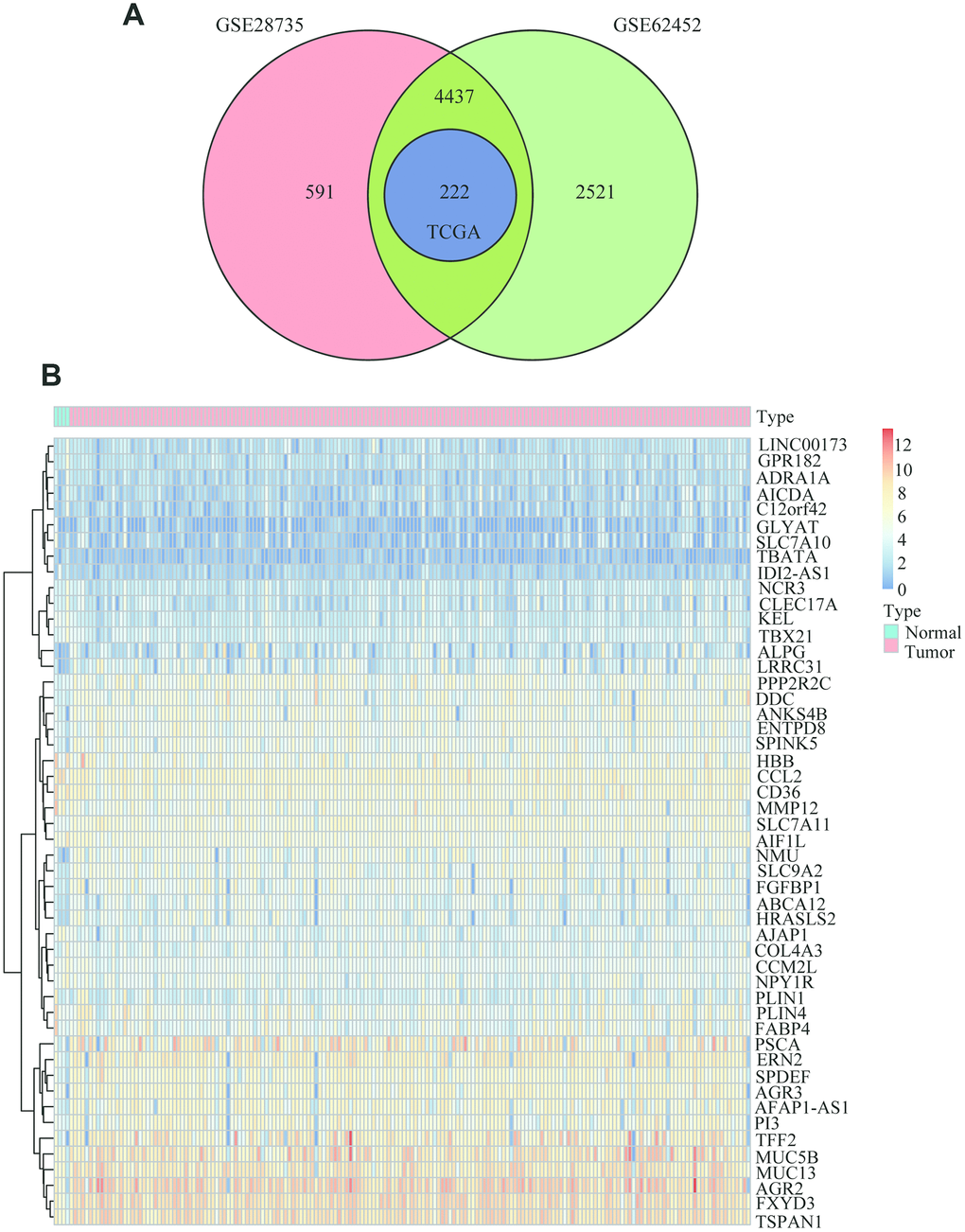 Common differentially expressed genes between PC and normal tissues. (A) Venn diagram showing the common DEGs in PC and adjacent normal tissues from the GSE28735, GSE62452 and TCGA datasets. (B) Heatmap analysis of the 222 DEGs, which contained the 50 highest expressed genes and the 50 the lowest expressed genes according to the log2FC between normal tissues and cancer tissues from the TCGA datasets.