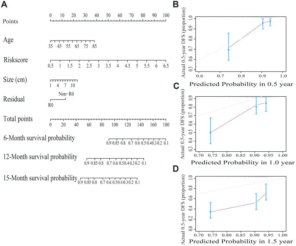 Building and validating a predictive nomogram. (A) A nomogram to predict survival probability at 6, 12 and 15 months after surgery. (B) Calibration curve for the nomogram when predicting 6 months of overall survival. (C) Calibration curve for the nomogram when predicting 12 months of overall survival. (D) Calibration curve for the nomogram when predicting 15 months of overall survival.