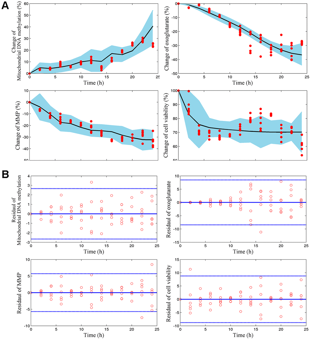 (A) Visual predicted check (VPC) for mtDNA methylation, AKG, MMP, and cell vitality. The shaded area represents the 95% confidence interval of the simulated median value. The line represents the median value of observed value. The red scatters represent observed values. (B) Scatter plots of predicted residuals vs. time for mtDNA methylation, AKG, MMP, and cell vitality.