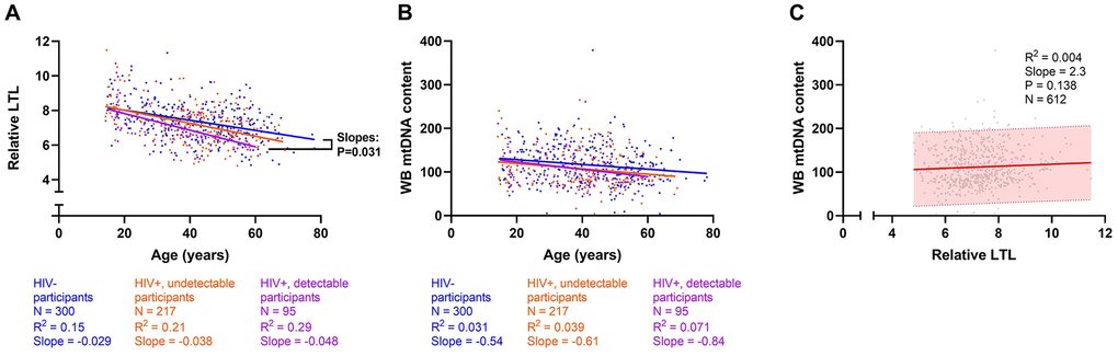 Cross-sectional univariate associations between leukocyte telomere length (LTL), whole blood mitochondrial DNA (WB mtDNA) content, and age. Among 612 participants, (A) LTL declines with age (R2=0.17, Slope=-0.03, Pearson’s PB) WB mtDNA content (R2=0.03, Slope=-0.57, PA) LTL declines faster among HIV+ detectable pVL participants than in HIV- controls. (C) No detectable relationship exists between LTL and WB mtDNA content (P=0.138). The shaded area indicates the 95% prediction interval. Coefficients of determination (R2) are shown.