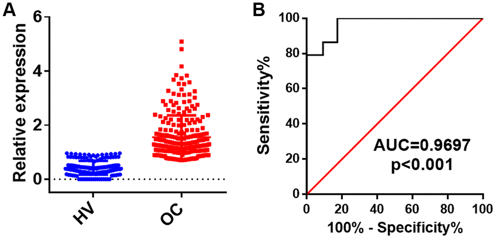 The relative levels and ROC analysis of circ-0001068 in the exosomes of serum from healthy volunteers (HV) and ovarian cancer (OC) patients. (A) The relative levels of circ-0001068 in the exosomes of serum from 43 healthy volunteers (HV) and 85 ovarian cancer patients (OC). (B) the ROC analysis of circ-0001068. ***P 