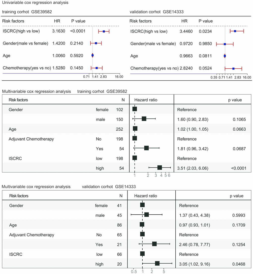 Forest plot summary of analyses of disease-free survival (DFS). Univariable and multivariable analyses of the ISCRC model, age, gender, and chemotherapy on GSE39582 and GSE14333 datasets. The blue squares on the transverse lines represent the hazard ratio (HR), and the red transverse lines represent 95% CI. ISCRC and age are continuous variables, gender and chemotherapy are discontinuous variables.