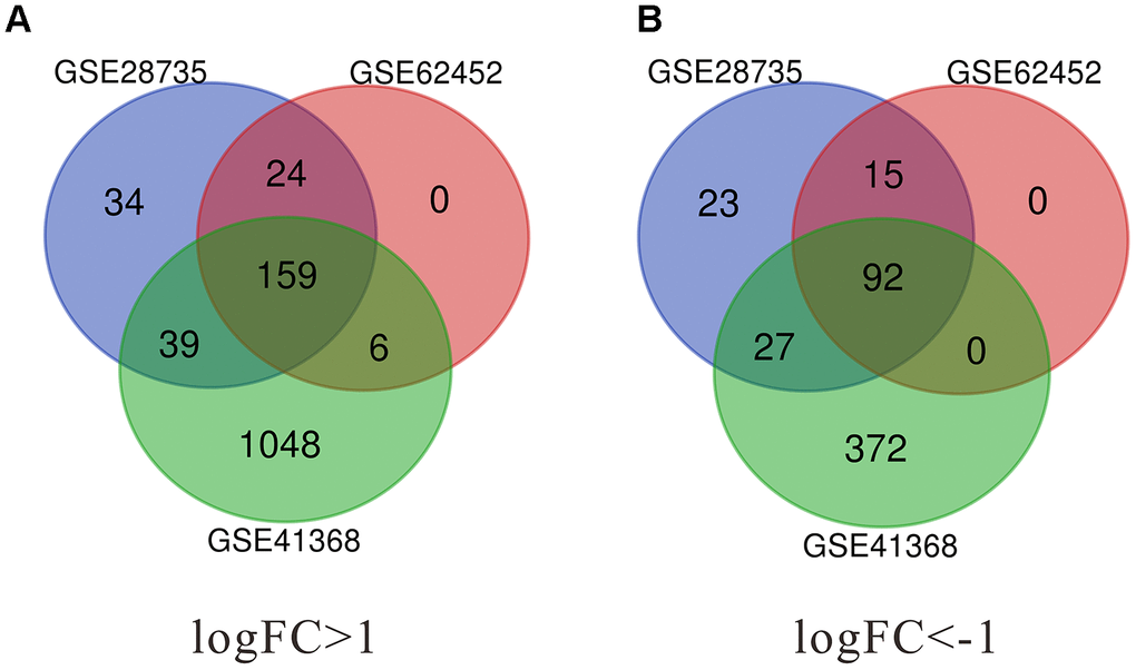 Identification of significant differentially expressed genes (DEGs) in pancreatic cancer. (A) The intersection of upregulated DEGs of GSE28735, GSE62452 and GSE41368 datasets. (B) The intersection of downregulated DEGs of GSE28735, GSE62452 and GSE41368 datasets. DEGs, Differentially expressed genes. |log2FC| >1 and adj. p-value 