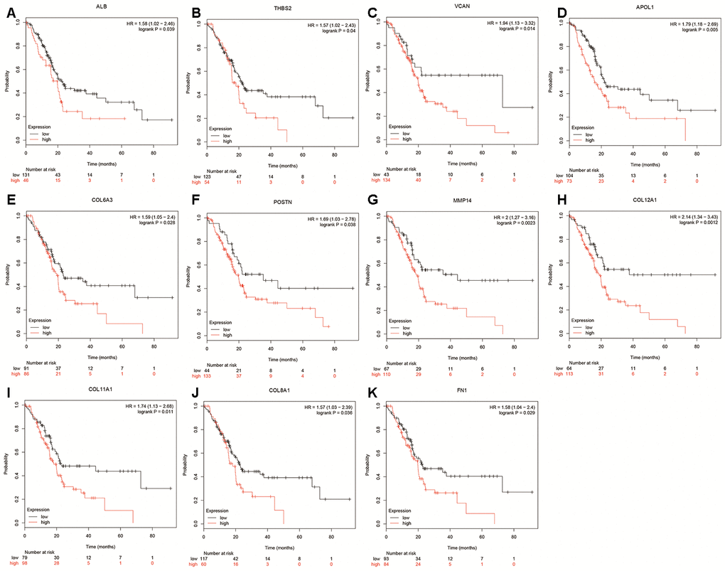 Overall survival of hub genes were performed using Kaplan-Meier plotter databases. (A) Prognostic value of ALB in pancreatic cancer. (B) Prognostic value of THBS2 in pancreatic cancer. (C) Prognostic value of VCAN in pancreatic cancer. (D) Prognostic value of APOL1 in pancreatic cancer. (E) Prognostic value of COL6A3 in pancreatic cancer. (F) Prognostic value of POSTN in pancreatic cancer. (G) Prognostic value of MMP14 in pancreatic cancer. (H) Prognostic value of COL12A1 in pancreatic cancer. (I) Prognostic value of COL11A1 in pancreatic cancer. (J) Prognostic value of COL8A1 in pancreatic cancer. (K) Prognostic value of FN1 in pancreatic cancer. “*”represents “P-value 