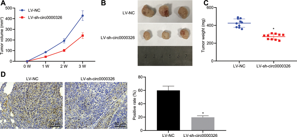 Silencing of Circ