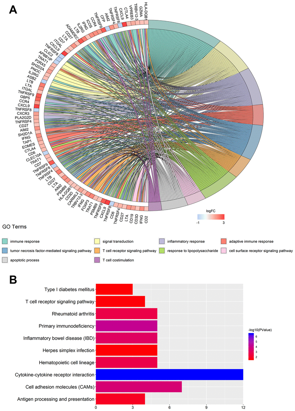 GO term and KEGG pathway enrichment analysis for the hub gene clusters. (A) Major GO terms in hub gene clusters correlated to PD-1. (B) Top-ranked KEGG pathways in hub gene clusters correlated to PD-1. GO, gene ontology; KEGG, Kyoto Encyclopedia of Genes and Genomes.