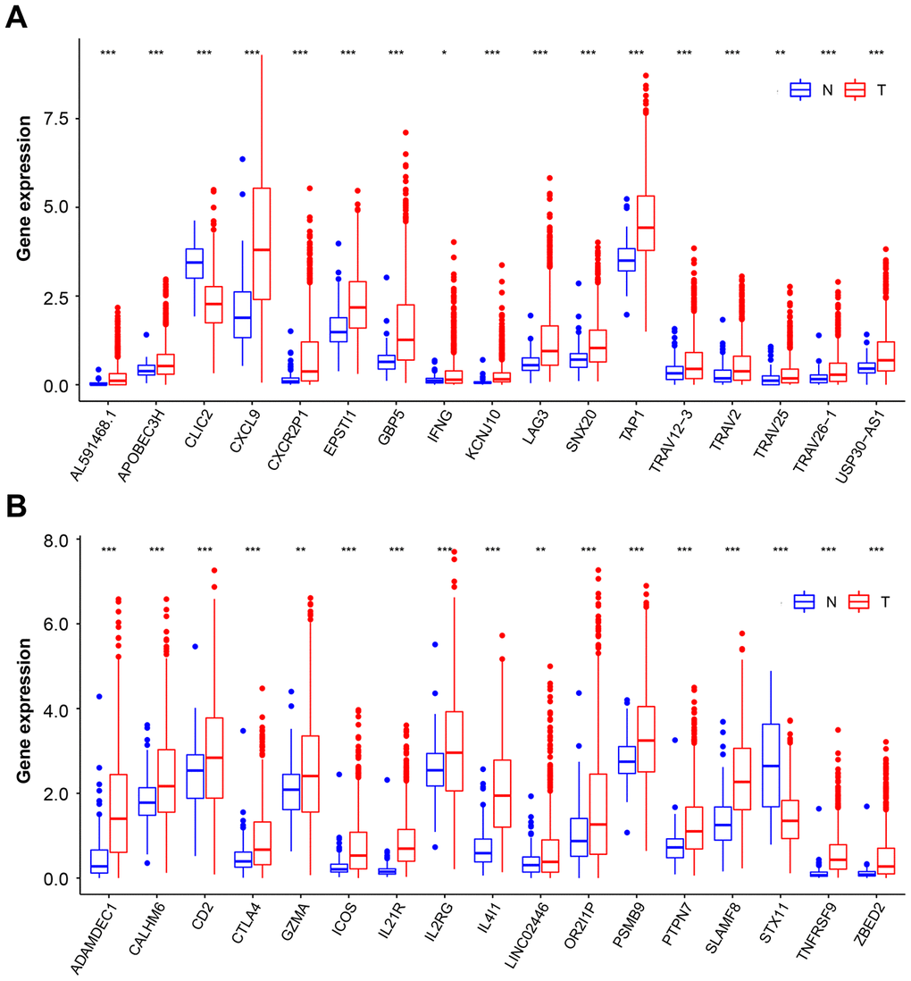 Overlapping genes expression on BC and normal tissue samples. (A and B) Box plot representation of 34 overlapping hub genes expression on normal tissue (blue box) and BC (red box) samples. The median, first quartile, and third quartile of expression on distribution are shown. BC, breast cancer. * p 