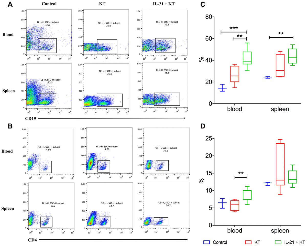 Elevated serum IL-21 levels are associated with stable immune status in ...