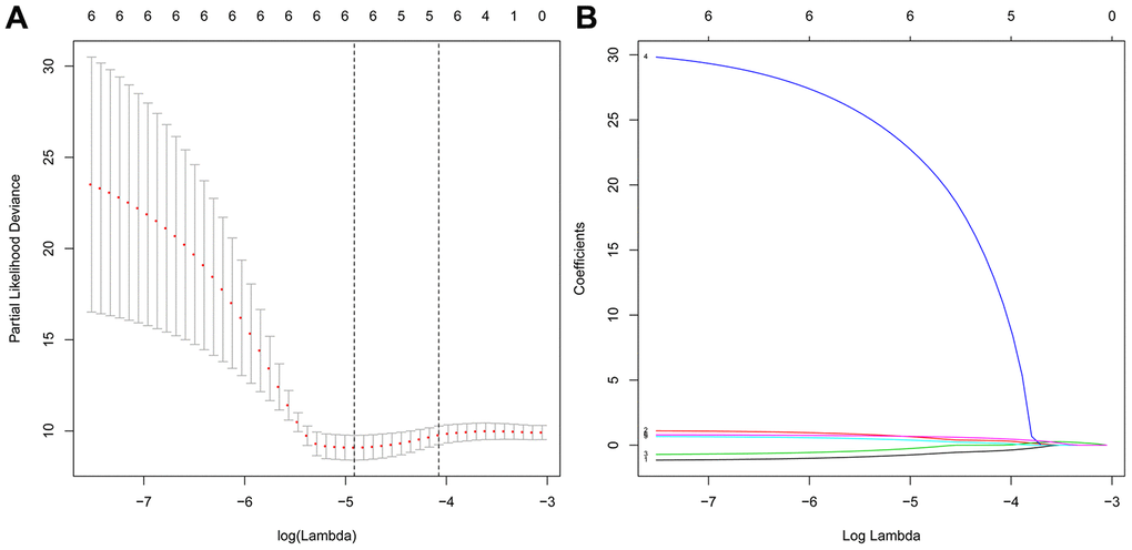 Screening of the optimal ARGs with prognostic potential by Lasso regression. (A) Screening of the optimal parameter (lambda) at which the vertical lines were drawn. (B) Lasso coefficient profiles of the six ARGs with nonzero coefficients determined by the optimal lambda.