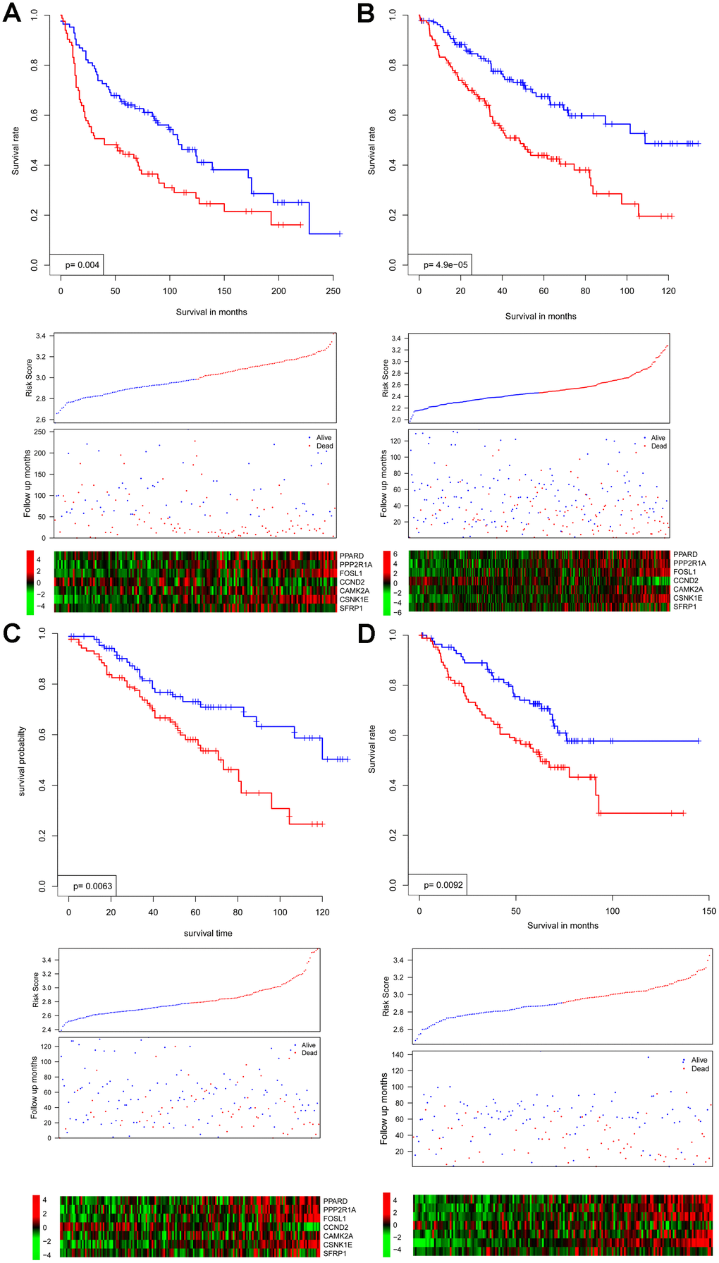 Survival interval between risk score-predicted high- and low-risk groups (upper panel) was compared in independent cohorts GSE30219 (A), GSE4127 (B), GSE42127 (C), and GSE50081 (D). Detailed survival, risk score, and gene expression pattern data are shown (lower panel).