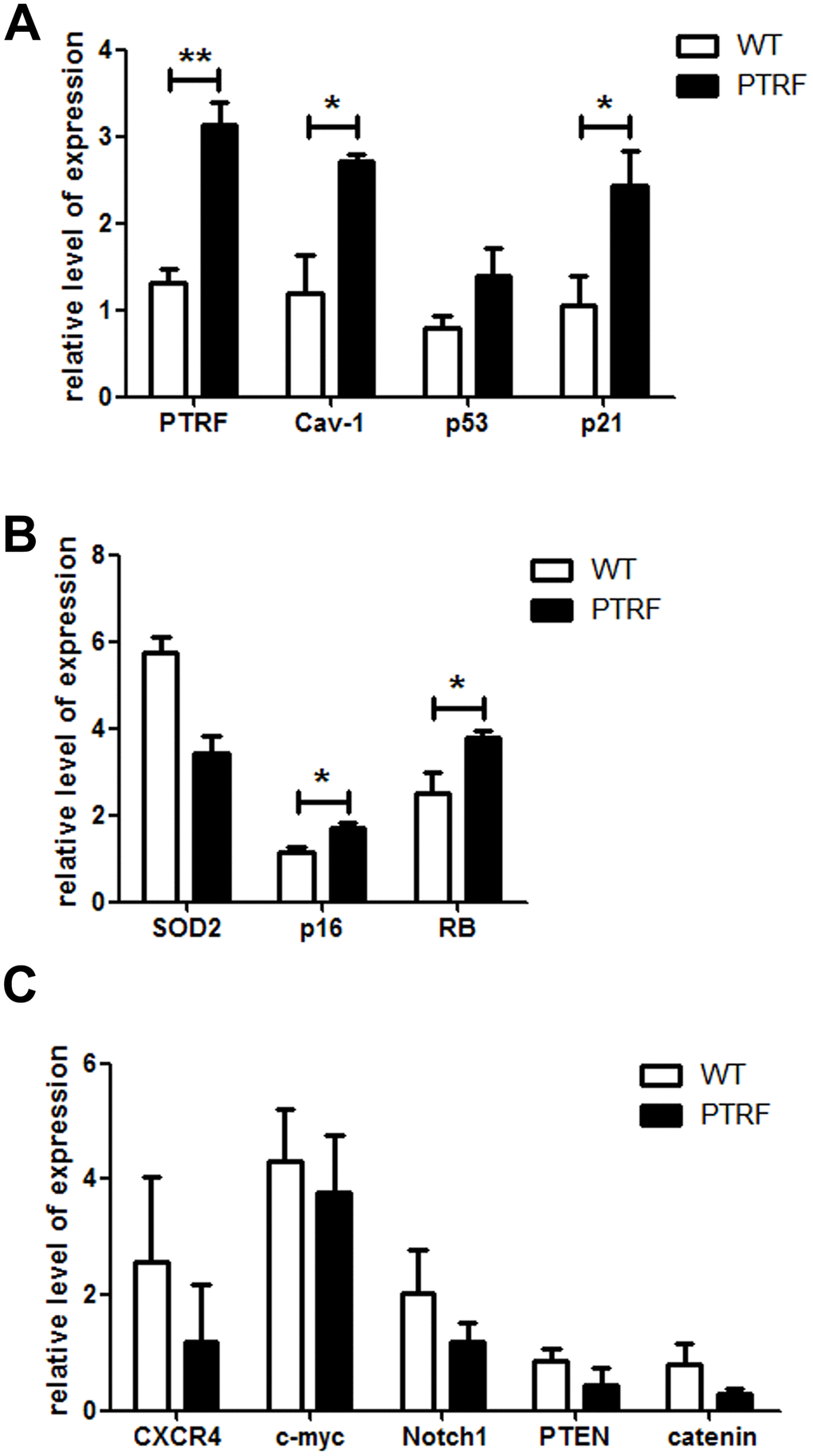 PTRF altered the expression pattern of senescence-associated genes in LSKs. (A–C) RT-PCR analysis of the indicated genes in sorted LSK cells from PTRF and WT mice. Data represent the mean ± SD of three independent experiments. *, P P 