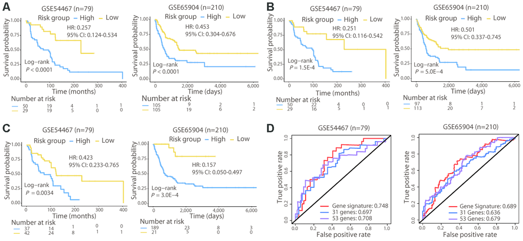 Survival and ROC curves of the different signatures in the validation cohorts. Survival analysis of patients classified by the 21-gene (A), 31-gene (B), and 53-gene (C) signatures in the two validation cohorts. (D) ROC curves and AUC values of the three signatures in the two validation cohorts. In GSE65904, the AUC value for 3-year OS was calculated, since few patients lived for 5 years.