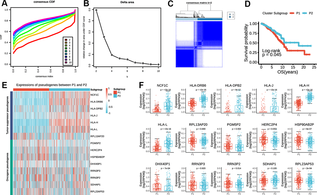 P1/2 subgroups identified by consensus clustering of the 15 prognostic pseudogenes in TCGA dataset. (A) Consensus clustering cumulative distribution function (CDF) for k = 2 to 10. (B) Relative change in area under CDF curve for k = 2 to 10. (C) Consensus clustering of 775 breast cancers with k = 2. (D) Kaplan-Meier overall survival (OS) curves for patients in P1 and P2 subgroups. (E) The expression pattern of prognostic pseudogenes between P1 and P2 subgroups. (F) Expression levels of NCF1C, HLA-DRB6, HLA-DPB2, HLA-J, HLA-H, HLA-L, RPL13AP20, PGM5P2, HERC2P4, HSP90AB2P, DHX40P1, RRN3P3, RRN3P2, SDHAP1 and RPL23AP53 between P1 and P2 subgroups.