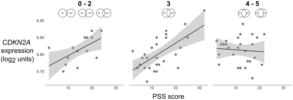 Scatterplots of the association between perceived stress (PSS) and expression of the p16INK4a-encoding gene CDKN2A (log2 units) at low (0–2), average (3), and high (4–5) levels of relationship closeness (scale item responses depicted above each plot). Solid lines were plotted using parameter estimates from the unadjusted models in Table 2. Grey shaded bands reflect the 95% CI for the best fit regression line computed from the raw data.