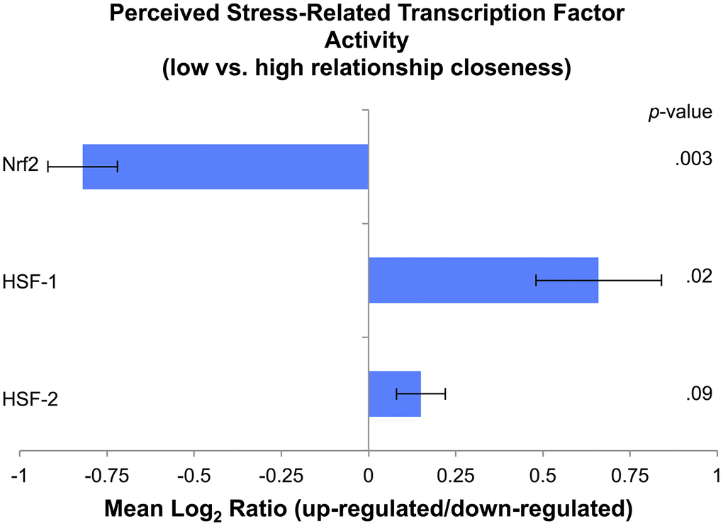 Cell stress transcription factor activity based on levels of perceived stress in parents with low (scores of 0–3 on the IOS scale) relative to high (scores of 4–5 on the IOS scale) relationship closeness, expressed as a Mean Log2 Ratio of transcription factor binding motif prevalence in the promoter regions of up-regulated versus down-regulated genes, averaged across nine parametric variations.