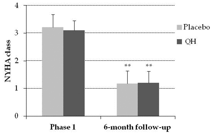 NYHA class in placebo (grey) and QH treated (black) group in phase 1 and following 6-month follow-up. **p≤0.01 significance of differences in each experimental group in comparison with phase 1.