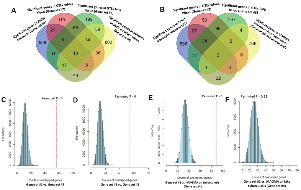 Consistent evidence support Sherlock-identified genes implicated in tuberculosis (TB). (A) Venn diagram shows that common genes between Sherlock-identified genes of Gene sets #1, #2, and #3 and MAGMA-identified genes on TB (Gene set #4). (B) Venn diagram shows that common genes between Sherlock-identified genes of Gene sets #1, #2, and #3 and MAGMA-identified genes on fake TB (Gene set #5). (C–F) Computer-based permutation analysis; (C) for the overlap between Gene set #1 and Gene set #2; (D) for the overlap between Gene set #1 and Gene set #3; (E) for the overlap between Gene set #1 and Gene set #4; (F) for the overlap between Gene set #1 and Gene set #5.