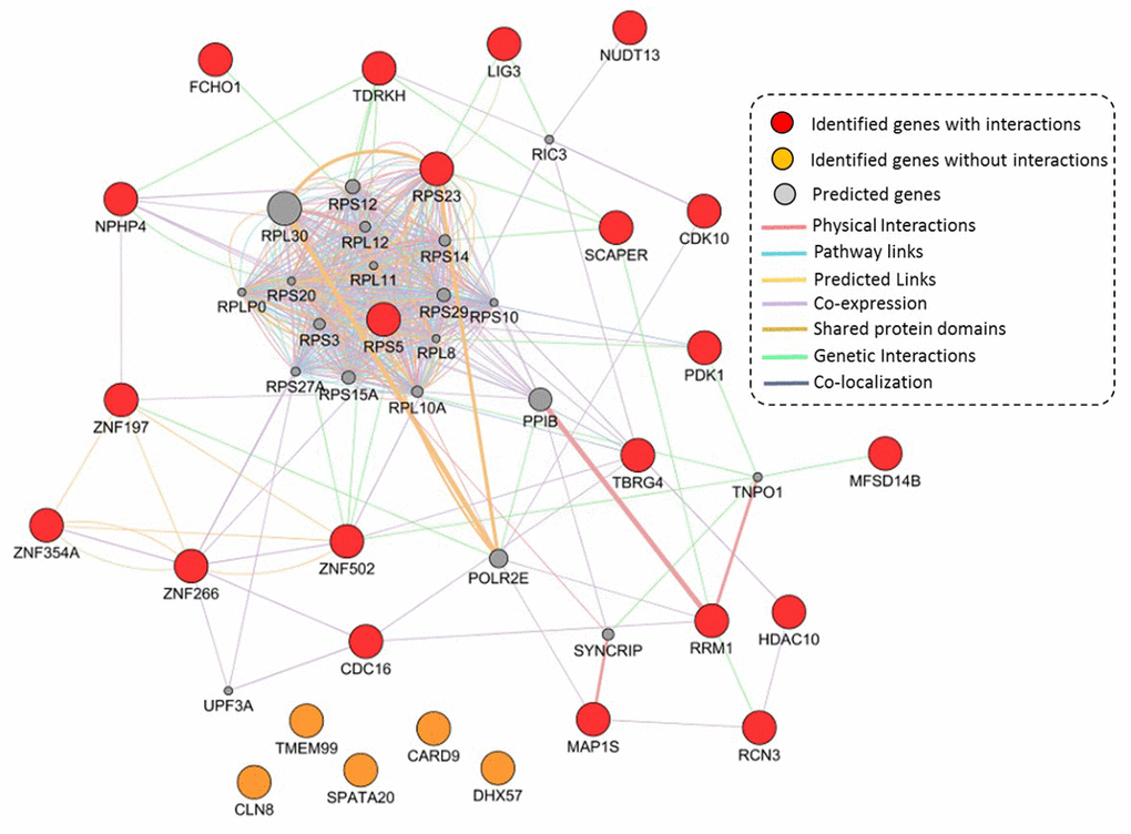 Constructed GGI network by using identified 26 TB-associated genes. These 21 identified genes with interactions are marked with red color, 5 identified genes without interactions are marked with orange color, and 20 predicted genes are colored with gray color.