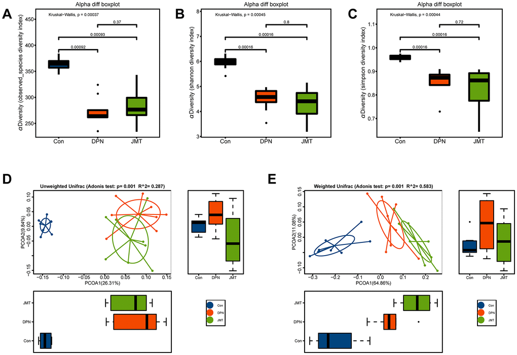JMT modulated microbiota composition in DPN rats. Alpha diversity was evaluated by examining (A) the observed species diversity index, (B) Shannon index, and (C) Simpson index of fecal samples from different groups. Each box plot represents the median, interquartile range, minimum and maximum values. Principal coordinate analysis (PCoA) on (D) unweighted and (E) weighted UniFrac distances among different groups. Boxplots show the distribution of samples along the given axis, representing the median and interquartile range. Ellipses represent a 95% confidence interval around the cluster centroid. Clustering significance by body site was determined by Adonis (p 