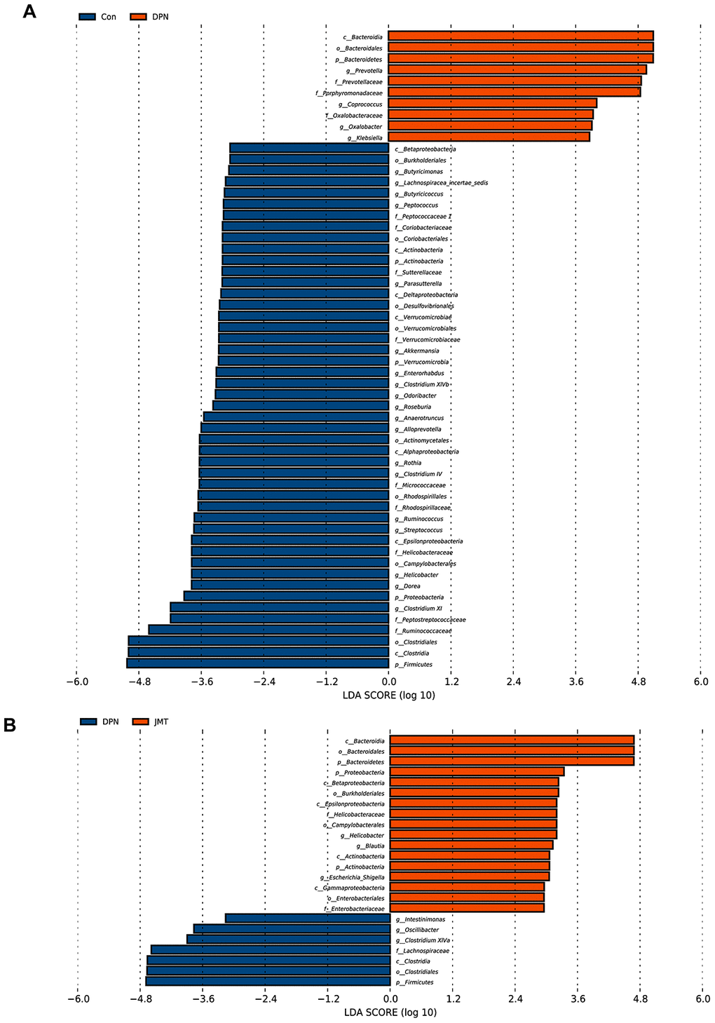 Bacterial taxa differences among different groups. Linear discriminant analysis coupled with effect size (LEfSe) analysis was performed to identify the bacterial taxa differentially represented in (A) normal control group vs. distilled water-treated DPN group rats and (B) distilled water-treated DPN group vs. JMT-treated DPN group rats at different taxonomy levels. LDA: linear discriminant analysis, n=8/group.