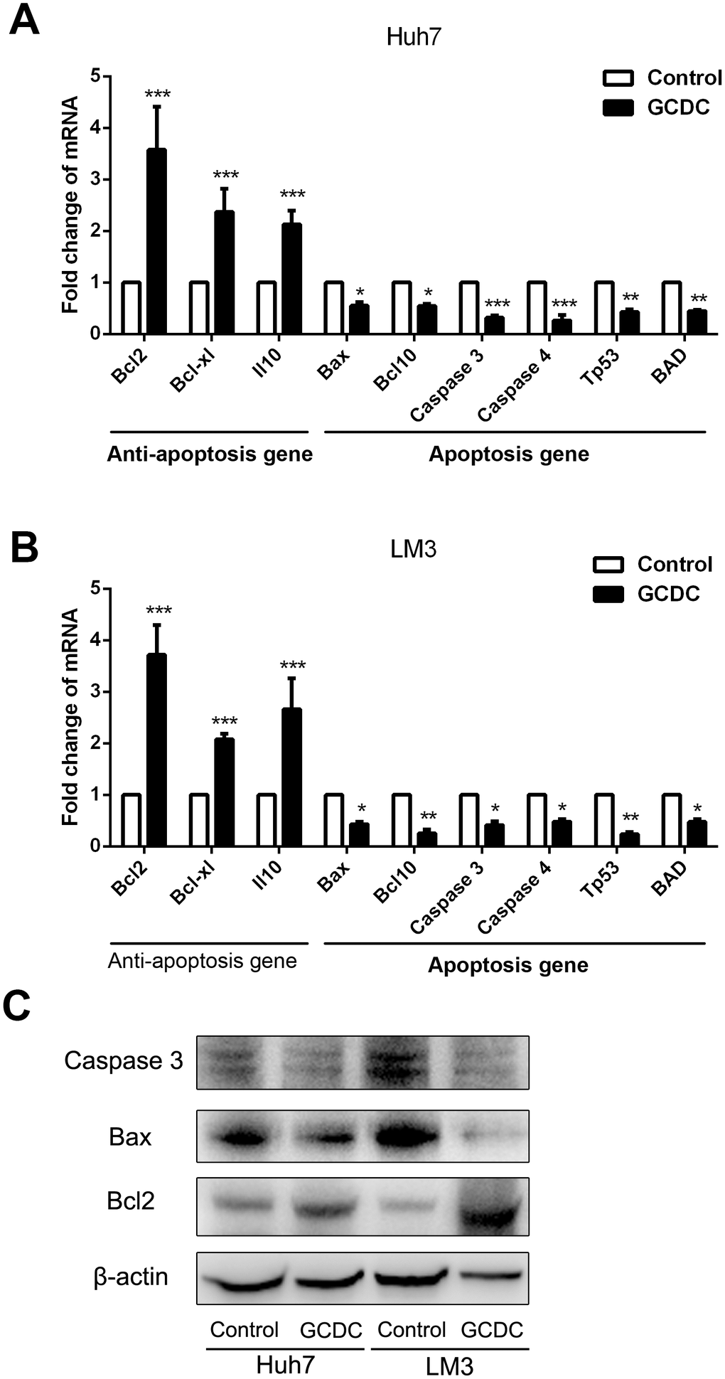 GCDC regulates the expression of apoptotic and anti-apoptotic genes. (A, B) The expression of apoptotic and anti-apoptotic genes in HCC cells was examined by reverse transcriptase-polymerase chain reaction (RT-PCR) assays. *PC) The expression of apoptotic and anti-apoptotic genes in HCC cells was examined by Western blot.