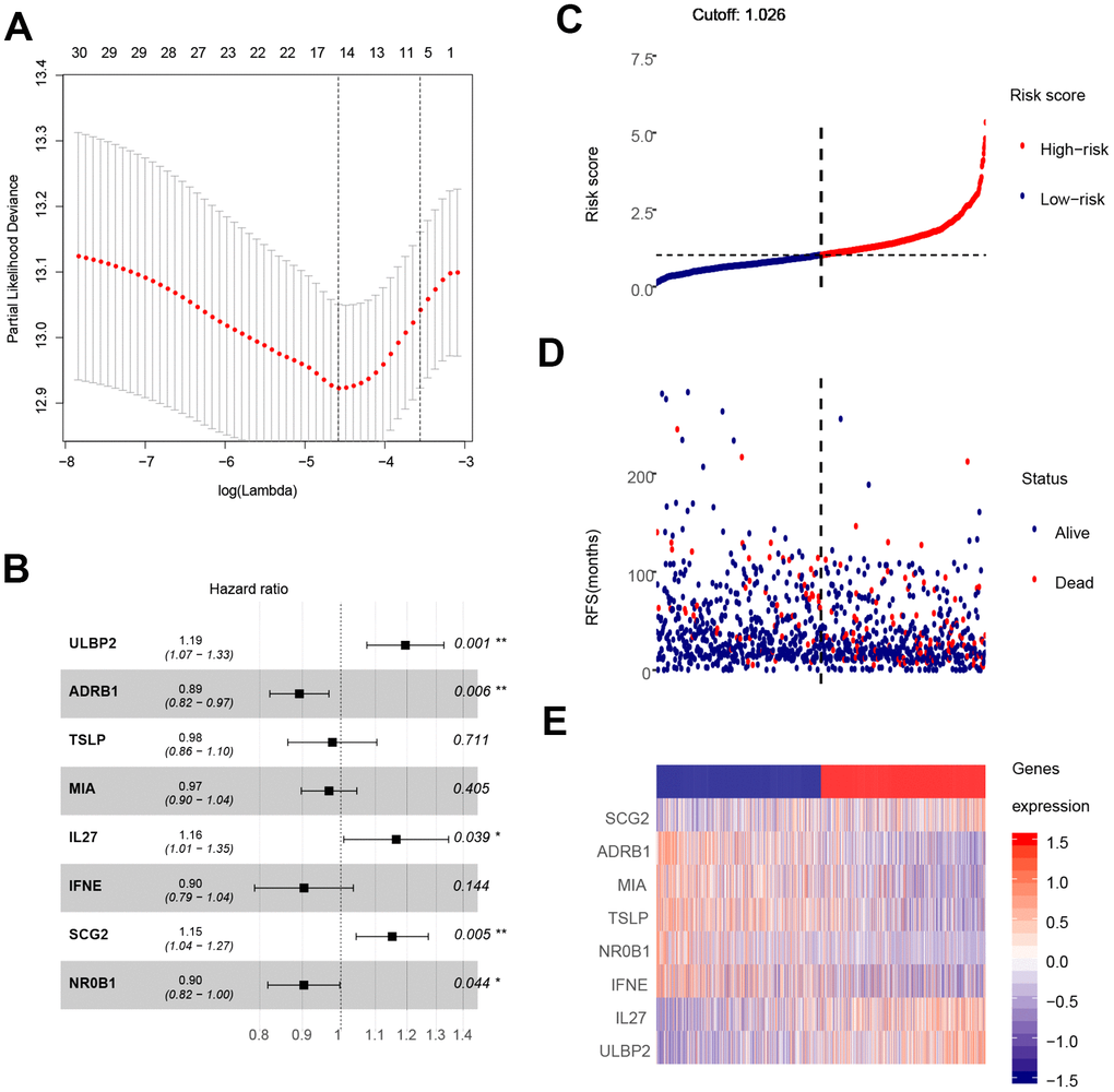 Construction of the eight-gene signature and performance analysis. (A) Construction of the eight-gene signature. (B) Hazard ratio of each gene in the eight-gene signature. (C) Risk score distribution and cut-off point. (D) Distribution of breast cancer patient survival outcomes. (E) Heat map showing expression levels of the eight genes in breast cancer patients.