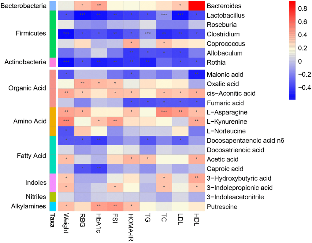 Association map of the three-tiered analyses integrating the gut microbiome, phenotypes, and metabolome. The left side of the panel showed associations between gut microbiota and phenotypes. The right side of the panel showed associations between metabolites and phenotypes. The intensity of the colors represented the degree of association (red, positive correlation; blue, negative correlation). *P P P 