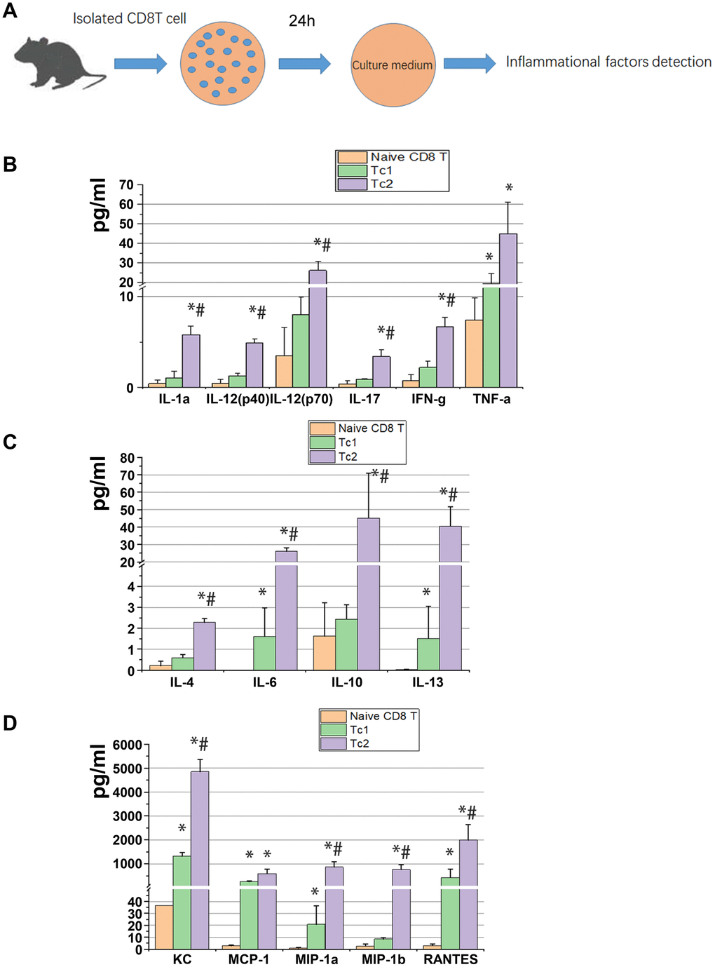 Tc2 facilitated the secretion of cytokines, especially anti-inflammatory factors, compared with Tc1. (A) Naïve CD8+ T cells (CD44−CD25−CD62Lhigh) from the spleens of WT mice and Tc1 and Tc2 from 7-day UUO kidneys were isolated and cultured for 24 h (2 × 105 cells per well). The culture medium was collected for the detection of inflammatory factors by using a Luminex multiplex murine cytokine assay. (B–D) Proinflammatory cytokines, anti-inflammatory cytokines, and chemokines in the cell culture medium that were significantly changed are shown (*p + T cells, #p 