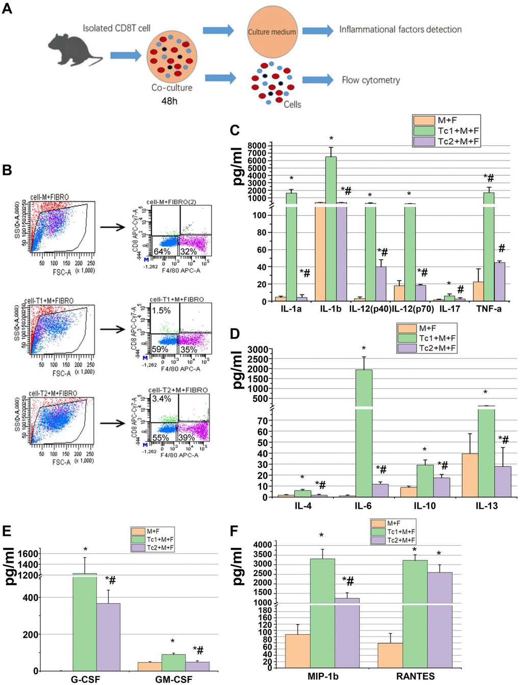 Tc1-treated macrophages promoted the activation of fibroblast to secrete inflammatory factors. (A) CD8+ T cells (Tc1 and Tc2) were isolated from UUO kidneys and cocultured with Raw264.7 cells plus NIH3T3 cells for 48 h (1 × 104 T cells, 1 × 105 Raw264.7 cells, and 2 × 105 NIH3T3 cells per well). Cell culture medium was collected for inflammatory factor detection, and cells were collected for flow cytometry. (B) Representative examples of the FACS analysis of cocultured cells. Cells were stained with CD8 and F4/80 and sorted through flow cytometry; then, NIH3T3 cells (CD8−F4/80− cells) were collected for the examination of α-SMA, Col-1, and fibronectin mRNA (data shown in Figure 5). (C–F) Inflammatory factors were evaluated by using a Luminex multiplex murine cytokine assay, and those that were significantly elevated are shown (*p 