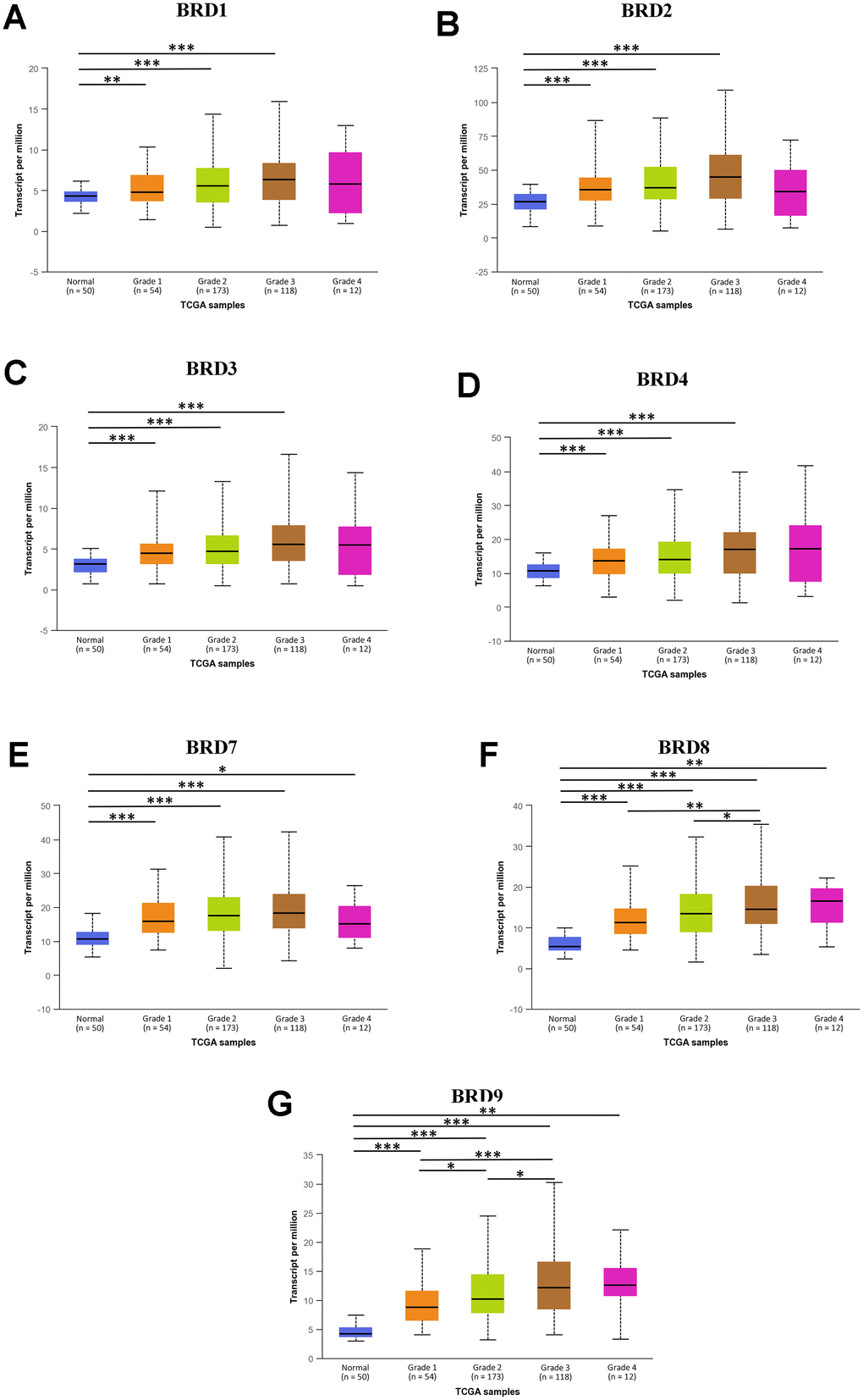 The association between mRNA expression of 7 distinct BRD-containing protein genes and HCC tumor grades from TCGA database (UALCAN). mRNA expressions of 7 BRD-containing protein genes were remarkably correlated with tumor grades. Along with the severity of histological grade in HCC, the mRNA expressions of 7 BRD-containing protein genes elevated. The highest mRNA expressions of BRD4/8/9 were found in tumor grade 4 (D, F, G), while the highest mRNA expressions of BRD1/2/3/7 were found in tumor grade 3 (A–C, E). *P P P 