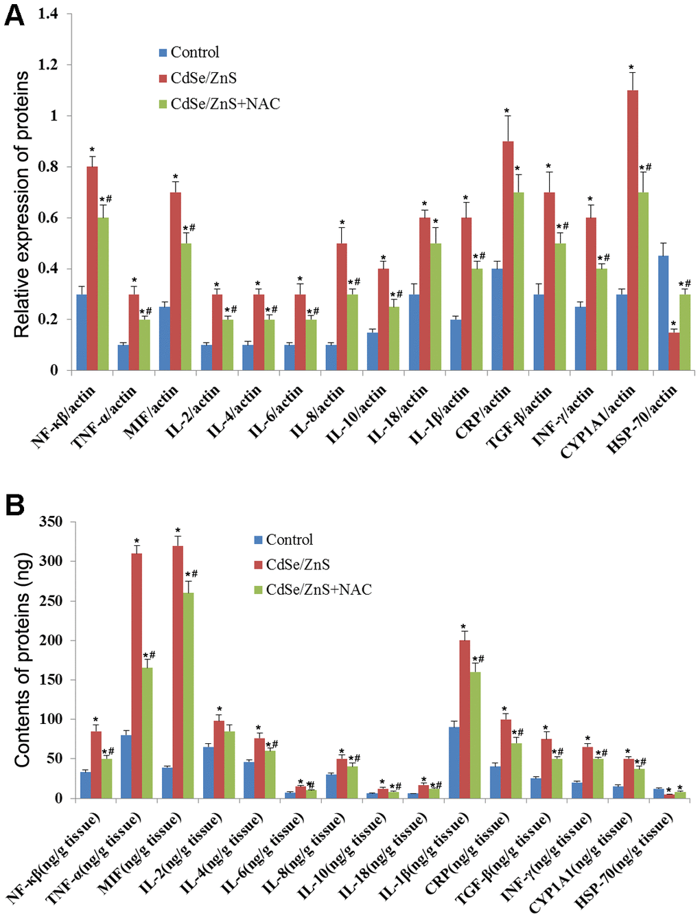 CdSe/ZnS QDs induced inflammatory response in mice. (A) The mRNA levels of inflammatory cytokines, including nuclear transcription factor-kB (NF-kB), tumor necrosis factor α (TNF-α), macrophage migration inhibitory factor (MIF), interleukin-2 (IL-2), IL-4, IL-6, IL-8, IL-10, IL-18, IL-1β, C-reactive protein (CRP), transforming growth factor (TGF-β), interferon (INF-γ), cytochrome P450 1A (CYP 1A1) and heat shock protein 70 (HSP70), in kidney tissues of mice after CdSe/ZnS QDs and/or N-acetylcysteine (NAC, antioxidant) injection by qRT-PCR. (B) The protein levels of these inflammatory cytokines by enzyme-linked immunosorbent assay. *P #P 