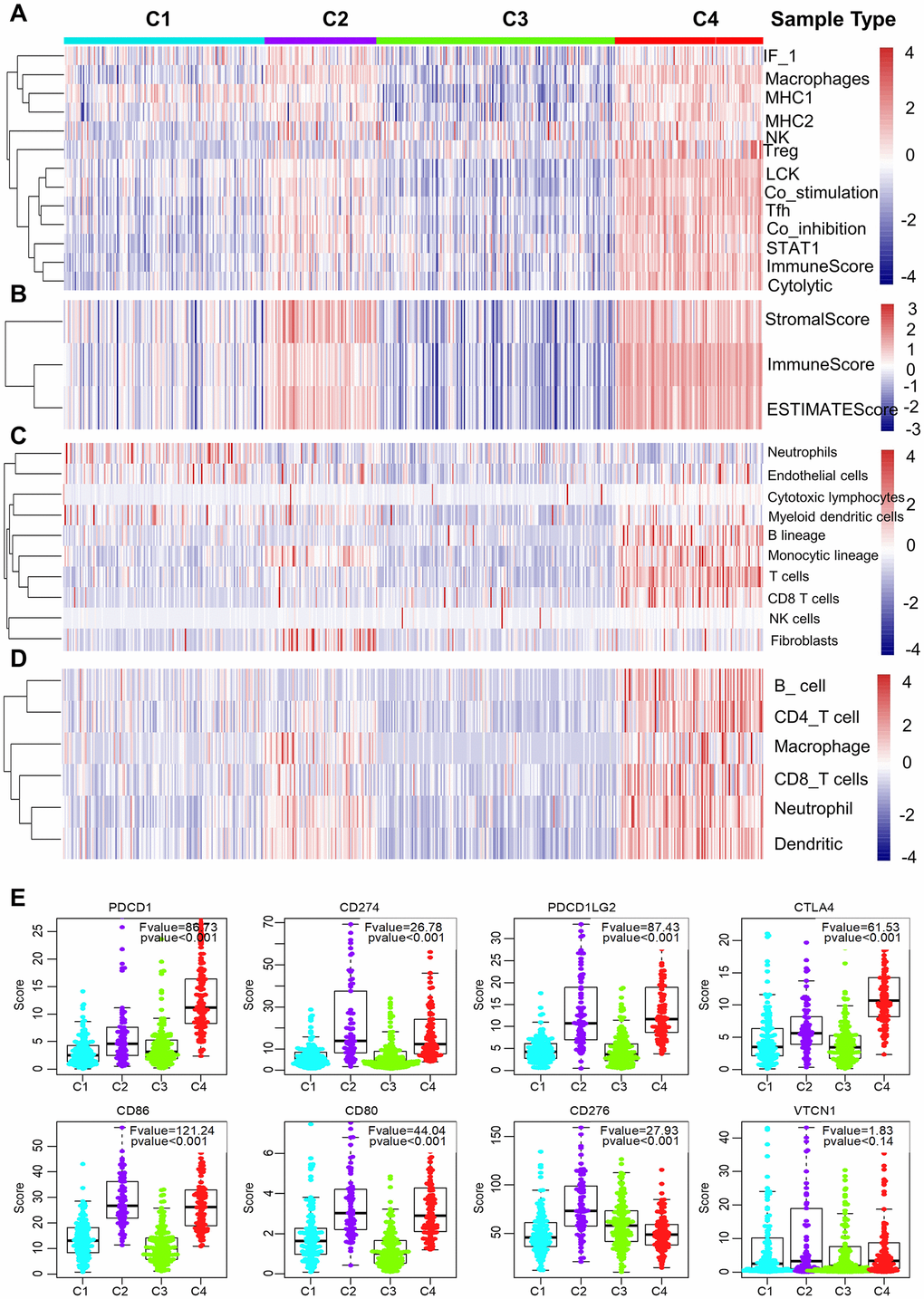 Immune signature of the four subtypes in the TCGA cohort. (A–D) Heatmaps showing the gene expression scores of immune profiles of the four subtypes. A two-color scale was used, with red indicating high expression and blue representing low expression. (A) The expression levels of 13 immune metagenes among the four subtypes. The 13 immune metagenes: IF1, macrophages, MHC2, MHC1, NK, T regulatory cells, lymphocyte-specific kinase (LCK), STAT1, T follicular cells, T cell inhibitory and stimulatory activity, and immune score and cytolytic activity. (B) The expression scores of genes included in the ESTIMATE algorithm for determination of stromal and immune gene signatures. (C) The expression scores of 10 groups of immune-associated cells. (D) The expression levels of genes included in the TIMER algorithm for assessment of immune infiltrates. (E) Differential expression of checkpoint molecules among the four immune subtypes. Boxplots indicate 5%, 25%, 50%, 75%, and 95%, respectively. Comparisons between subtypes were performed by Analysis of Variance (ANOVA). P-values were corrected by the Bonferroni method.