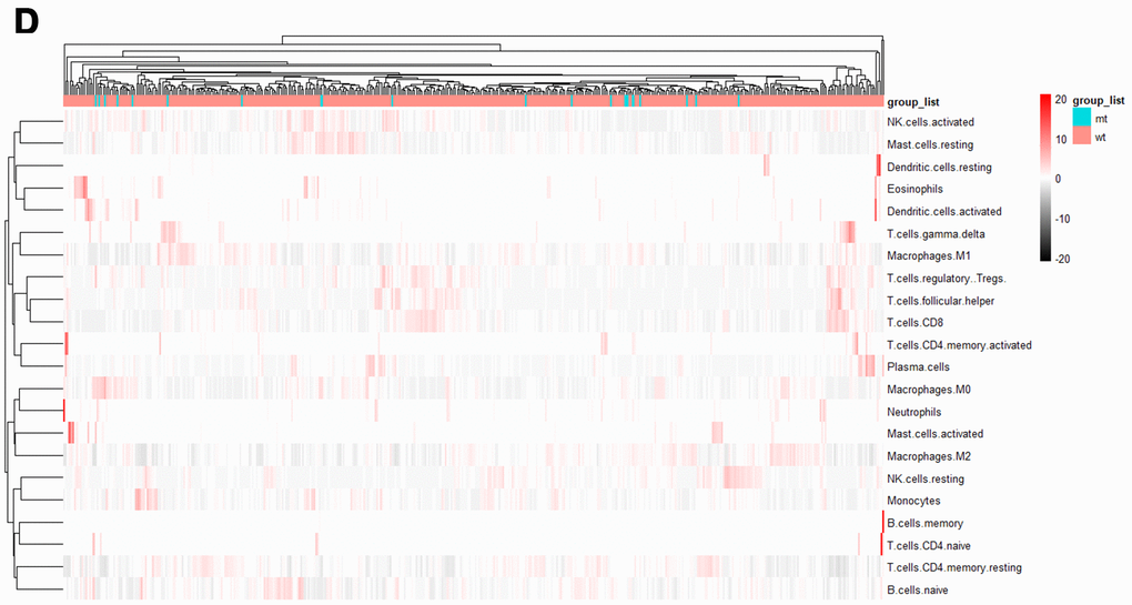 Tumor-infiltrating immune cells associated with SYNE1 mutation in ccRCC. (D) Heatmap of 22 immune cell types based on SYNE1 mutation. The blue color represents the mt group, and red represents the wt group.