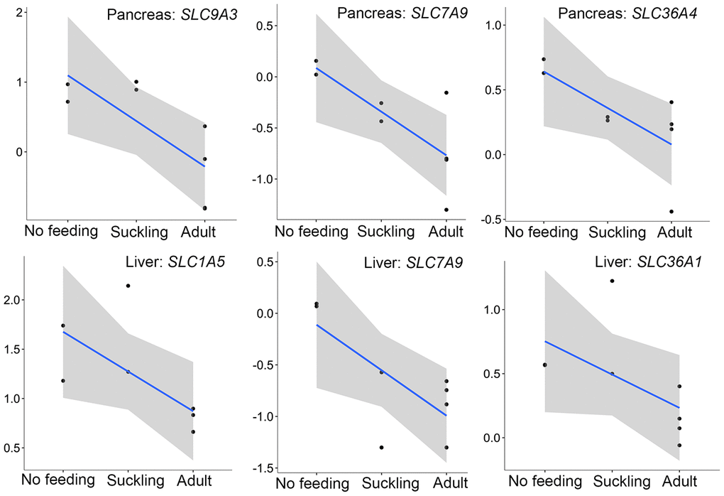 The expression patterns of SLC family genes involved in amino acid transport in the pancreas and liver. The vertical axis indicates the log10-transformed normalized CPM expression values. The gray shadow represents the 95% confidence field of the fitted curve.