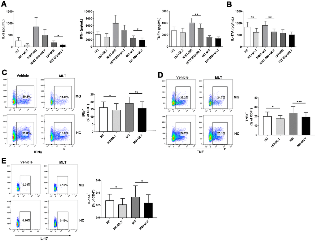 Melatonin decreased Th1 and Th17 cell responses. (A) Alterations in the production of signature Th1 cytokines, including IL-2, IFNγ and TNFα, after melatonin treatment in different MG subgroups. (B) Levels of IL-17A in response to melatonin treatment (HC, n=10; NIST-MG, n=13; IST-MG, n=15). (C) The frequency of CD4+ T cells expressing either IFNγ or (D) TNFα in melatonin-treated PBMCs from MG patients and HCs. (E) The frequency of CD4+ T cells expressing IL-17A in melatonin-treated PBMCs (HC, n=10; MG, n=10). The data are presented as the mean ± SD. * P ≤ 0.05, ** P ≤ 0.01, *** P ≤ 0.001.