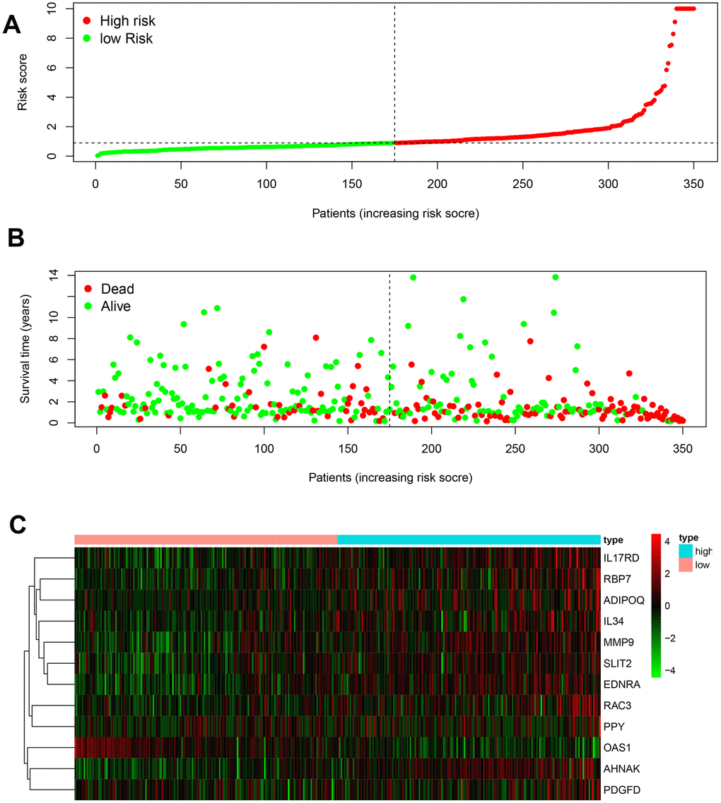 Development of the prognostic index based on immune-related genes. (A) Rank of prognostic index and distribution of groups. (B) Survival status of patients in different groups. (C) Heatmap of expression profiles of included genes.