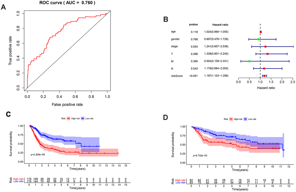 Validation of the prognosis signature and survival outcomes of different risk groups. (A) ROC curve of the prognosis signature with AUC equal to 0.760; (B) Multivariate Cox analysis of clinical parameters and risk score; (C) Kaplan-Meier survival curve of different risk groups of the TCGA database; (D) Kaplan-Meier survival curve of different risk groups of the GEO database in the form of cross validation.