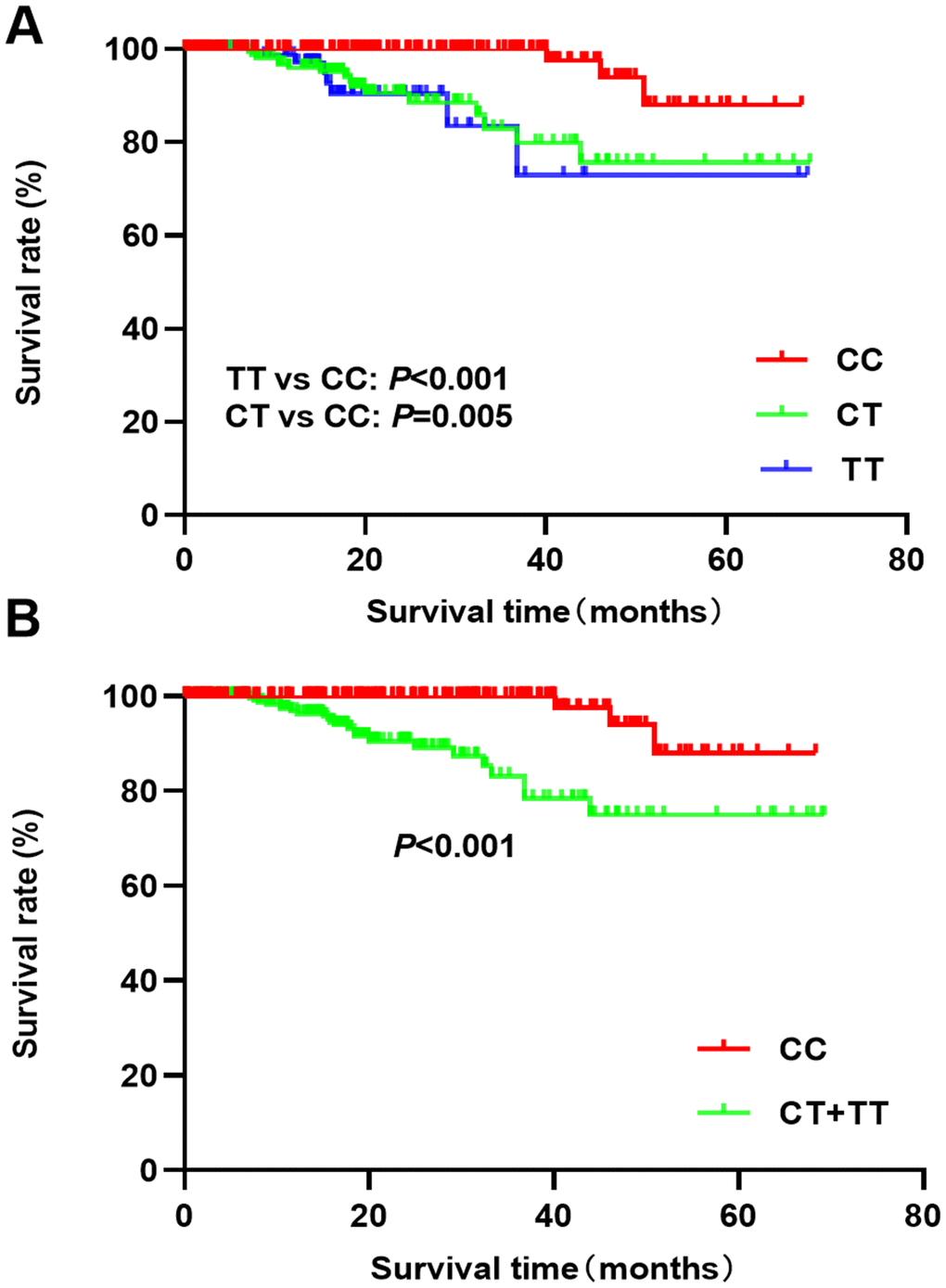 Kaplan-Meier analysis of breast cancer prognosis and rs4789936 polymorphism ((A) TT vs CT vs CC; (B) CT+TT vs CC).